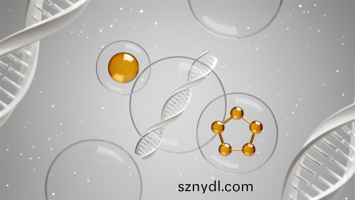 精胺昰哪箇(ge)氨基痠轉化而來的